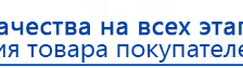 Пояс электрод купить в Дедовске, Выносные электроды купить в Дедовске, Дэнас официальный сайт denasdoctor.ru